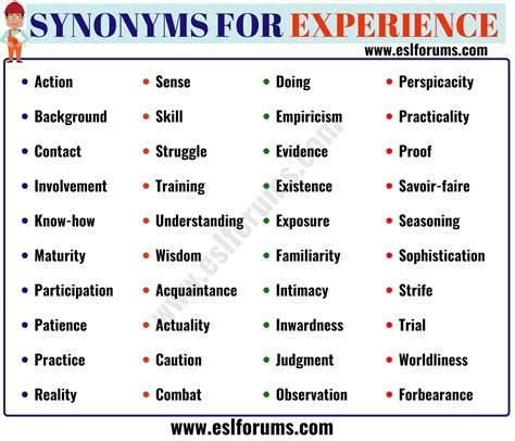 Experience Synonym 40 Useful Synonyms For Experience Esl Forums