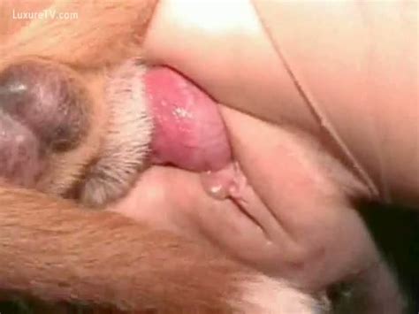 Close Up Of Penis Going Inside Pussy