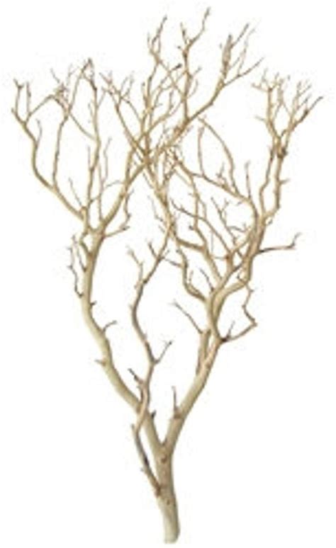 Sandblasted Manzanita Branchtree 1 Piece 30 Inches Tall Etsy In 2020