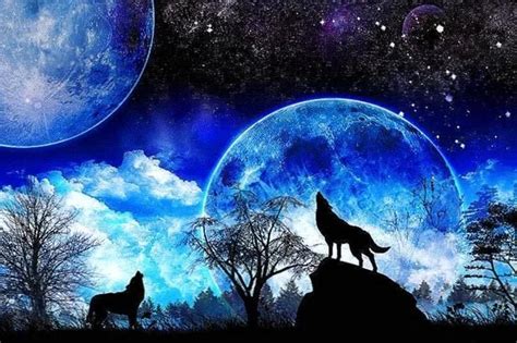 We desire that everything you want in here, please discuss all your comments and opinions are appreciated. Wolf Howling At The Moon Desktop Wallpapers - Wolf ...