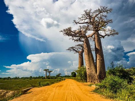Madagascar Everything You Need To Know Before Traveling To The Island