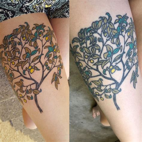 Fresh Vs 5 Years Healed Done By Osh Oloughlin At White Lotus Tattoo