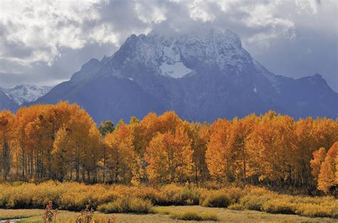 Fall Colors In Grand Teton National Park Photograph By Kriss Russell