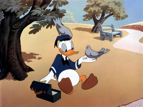 41 Gambar Animasi Kartun Donald Duck Suwarti Dee