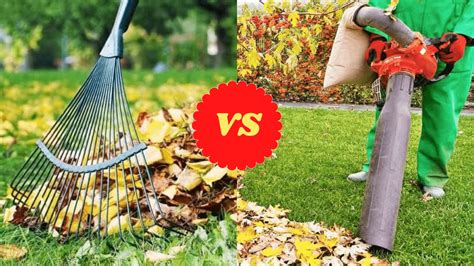 You have pea gravel, just got to take it out, mix it in a wheelbarrow, and repour it in the gaps. Rake Vs Leaf Blower |  A Detailed Comparison 