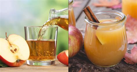 Apple Cider vs Apple Juice: The Unexpected Difference | Goodnature