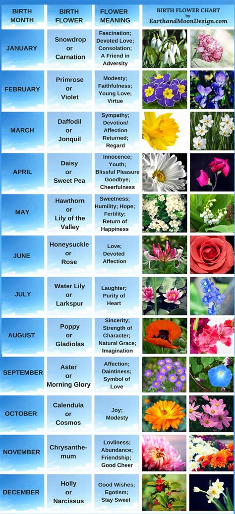 Birth Flower Chart By Birth Flowers Flower