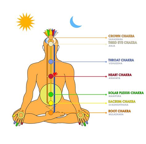 Chakra Chart An Introductory Guide About The 7 Chakra