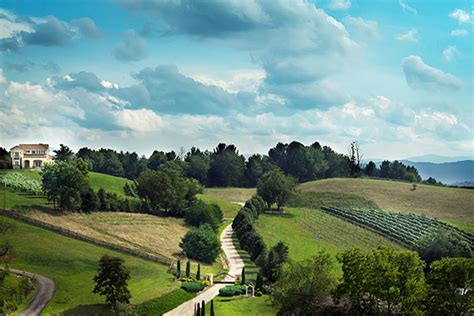 Get reviews, hours, directions, coupons and more for log cabin farm, vineyard & winery at 376 county road 309, satsuma, fl 32189. winery | The Log Cabin Inn Mountain City TN-Doe Mountain ...