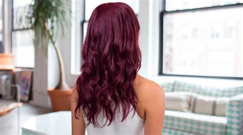 Balayage brown hair, dark brown hair with highlights. Shades of Purple Hair - Purple Hair Color Ideas — Hair ...