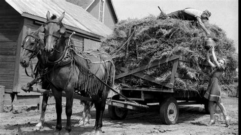 The book contains one chapter lawbreakers(around p 132), which lists tens of notorious criminals, including killing 53 people, eating spouse, etc. The Role of Women on the Farm in the Early 20th Century ...