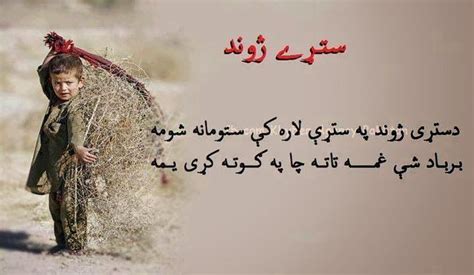 Pin By Hena On Afg Pushto Poetry Pashto Poetry Pashto Quotes