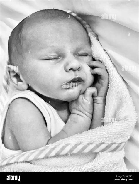 Baby Boy Black And White Stock Photos And Images Alamy