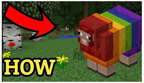 how to make rainbow sheep in minecraft