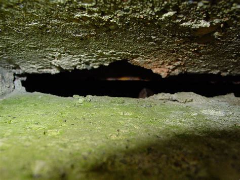 Flandernbunker der flandernbunker (luftschutzbunker) am kieler hindenburgufer diente im zweiten weltkrieg als hauptkommandostelle für den damaligen kriegshafen. Bunker in Kiel / Seite 4