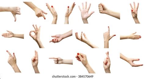 Set Female Hands Gestures Isolated On Stock Photo 384570649 Shutterstock