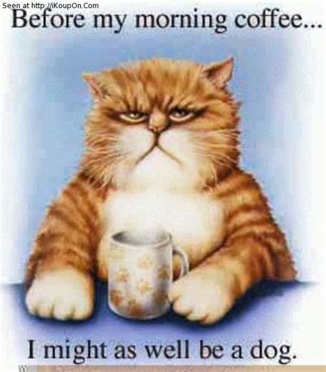 Funny Morning Coffee Quotes With Animals Quotesgram