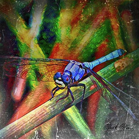 Blue Dragonfly Digital Art By David Mckinney Pixels