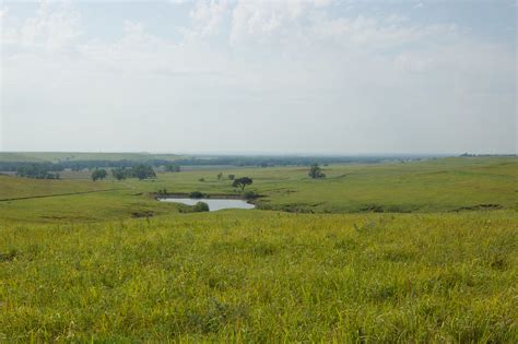 Tallgrass Prairie National Preserve Tallgrass Prairie Nati Flickr