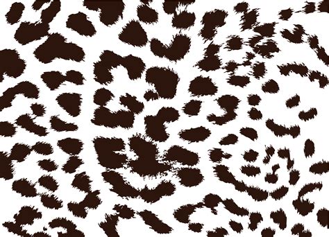 Leopard Print Vector At Collection Of Leopard Print
