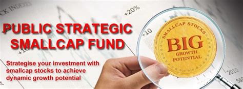 This all cap value fund, as of the last filing, allocates their fund in two major groups; Finance Malaysia Blogspot: New Fund: Public Strategic ...