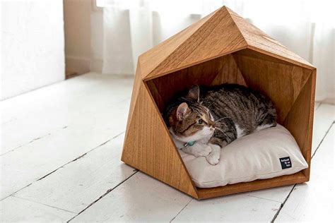 An outside cat house should be related categories: House for a cat: let the pet also have its own personal ...