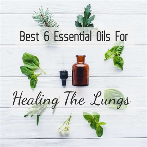 How To Use Essential Oils For Best Possible Results In Lung Healing