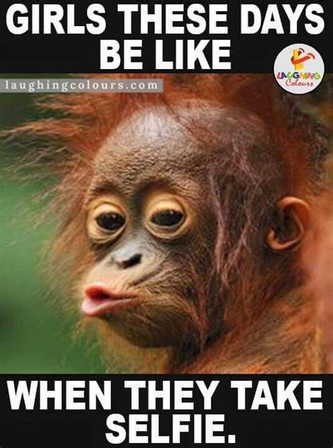 What's furry and dangerous and lives in a tree? Pin by Fabulous Frog Creations on You're Funny | Cute baby monkey