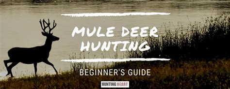 Mule Deer Hunting Beginners Guide Hunting Heart
