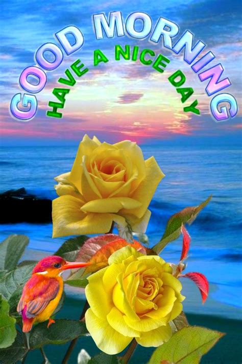 Two Yellow Roses With The Words Good Morning Have A Nice Day In Front