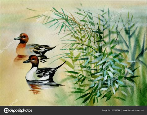 Geese Flock Swimming Pond Watercolor Illustration Stock Photo