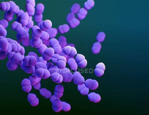 Digital D Illustration Of The Bacteria Streptococcus Pneumoniae