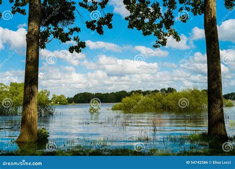 Loire Stock Photo Image Of Trunk Angers Spring Cloud 54742586
