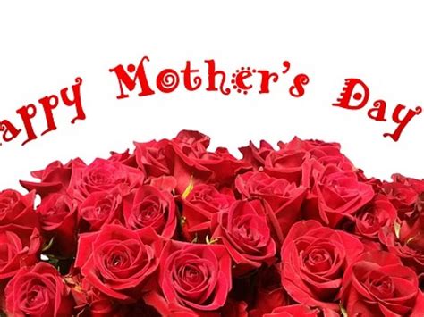 Druhou květnovou neděli oslavíme den matek. Tradiční květy na Den Matek | FLORA - ONLINE
