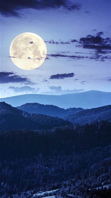 Forest Night Moon Clouds 4k Iphone Wallpapers Free Download