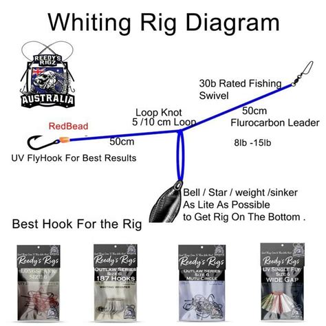 How To Catch King George Whiting Reedys Rigs