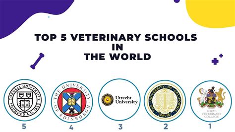 Top 5 Veterinary Schools In The World Best Veterinary Schools Youtube