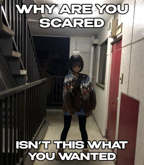it wasn t like that why are you scared isn t this what you wanted know your meme