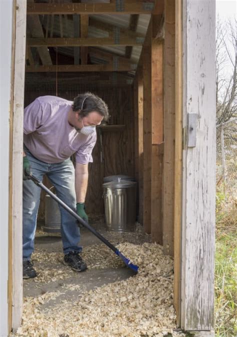 Even though this is not really part of cleaning the coop, it's nice because your eggs don't get so dirty. How to Clean Your Chicken Coop & Run: 9 Tips to Do It Right
