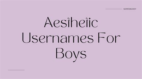 200 Aesthetic Usernames For Boys Names Buddy