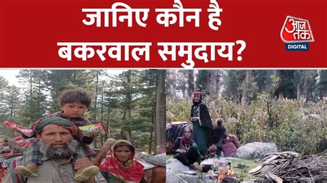 Jammu Kashmir कौन है बकरवाल समुदाय क्या हैं इनकी तकलीफें Reporter