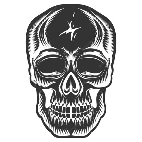 Premium Vector Skull Design And Skull Vector Art