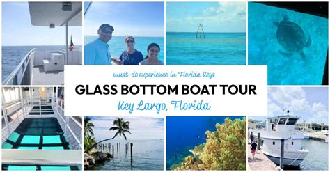 Glass Bottom Boat Tour In Florida Keys The Educators Spin On It