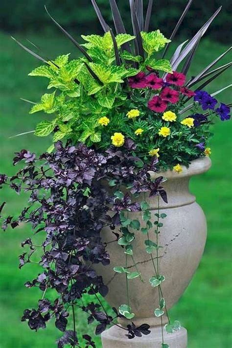 43 Gorgeous Container Garden Flowers Ideas For Summer Home Design And