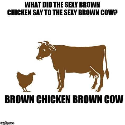 brown chicken brown cow imgflip