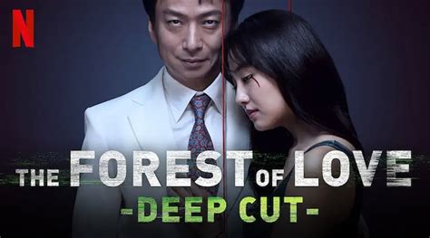 The Forest of Love Deep Cut Serie Netflix de Sion Sono Crítica