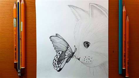 Disegni Facili Come Disegnare Un Gatto Con La Farfalla Schizzo A