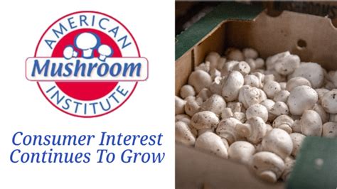 Post Pandemic Conditions Impact Mushroom Growers Produce Blue Book
