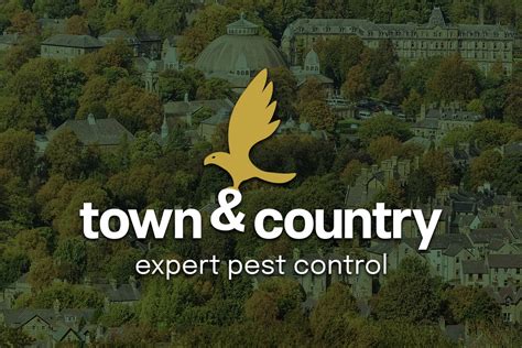 Local And Reliable Pest Control Buxton Town And Country Pest Control