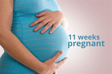 11 Weeks Pregnant Your Baby And You At 11 Weeks What To Expect